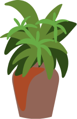 Decorative Plant